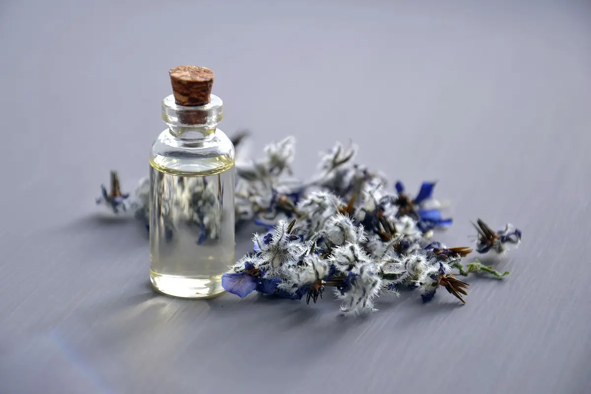 10 melhores óleos corporais perfumados para hidratar e perfumar de uma vez