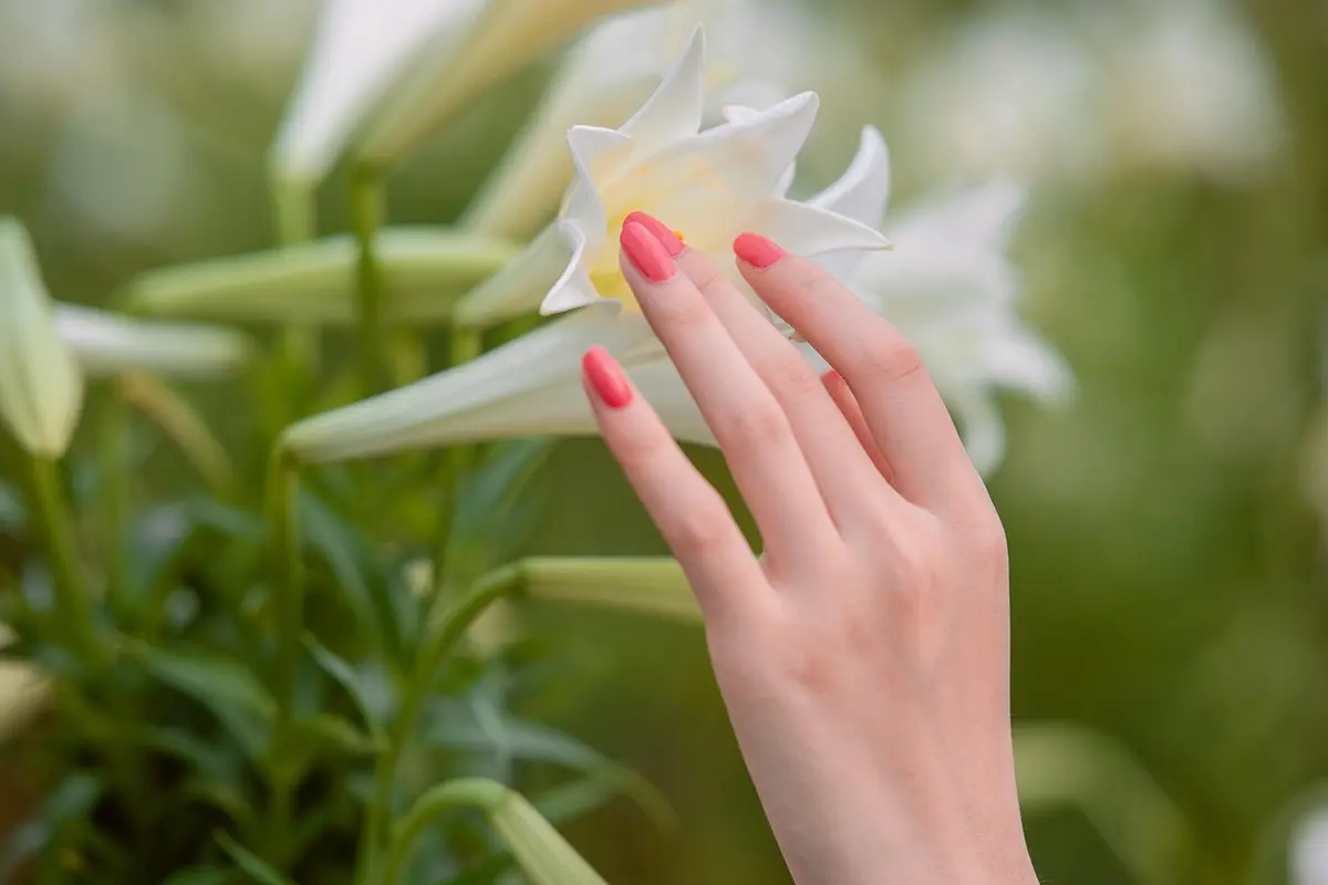 Ideias de unha preta: 10 estilos ousados e elegantes para você copiar