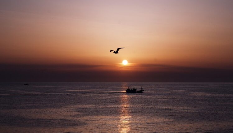 5 hábitos matinais que mudam sua disposição sem precisar de café