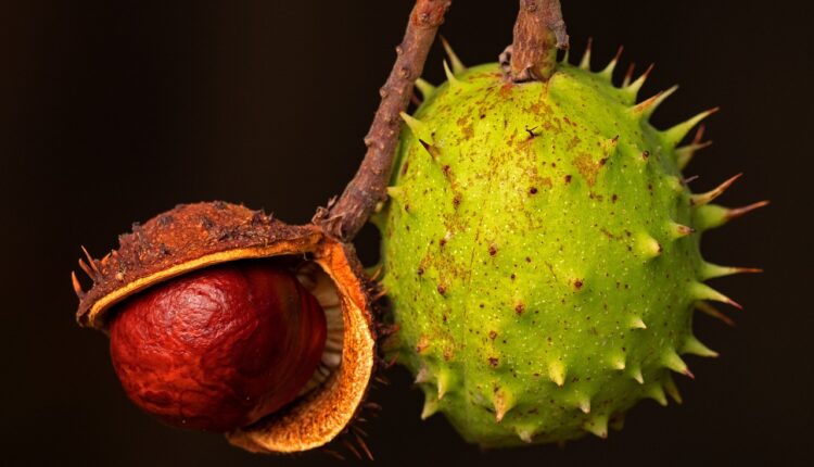 Essa fruta barata pode turbinar seu humor mais do que chocolate