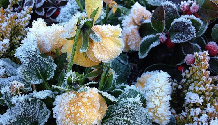 Puxar assunto: 20 frases que quebram qualquer gelo