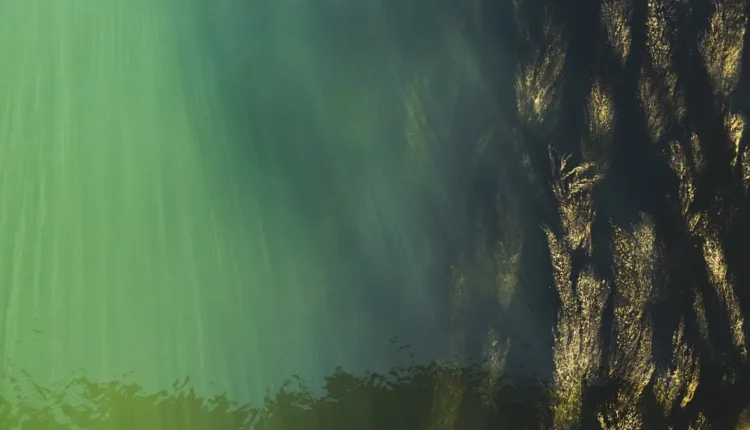 10 melhores águas micelares que limpam profundamente sem agredir sua pele