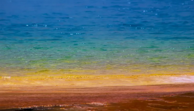 10 melhores águas termais para o rosto que refrescam e equilibram a pele