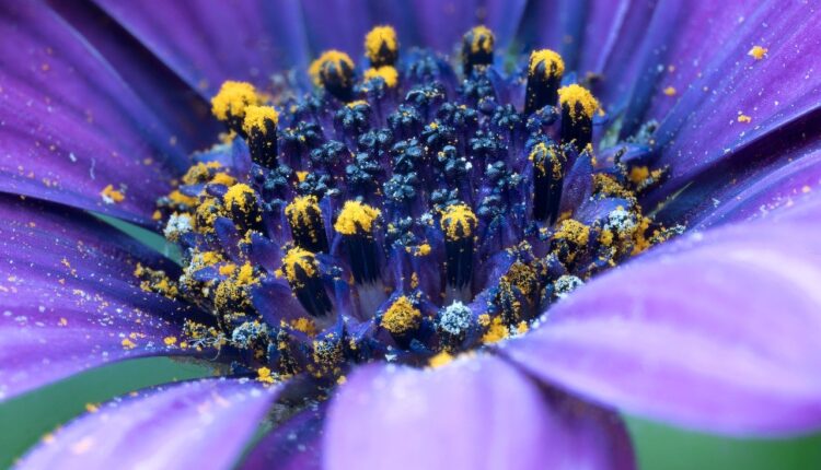 Por que cuidar da saúde íntima também é autocuidado