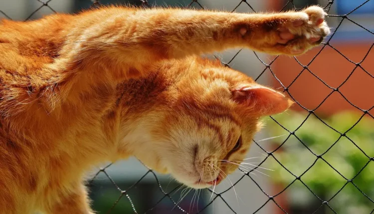 O que acontece com sua pele quando você para de usar maquiagem