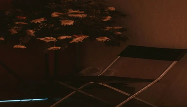 Unhas preta e branca decoradas: contraste, sofisticação e criatividade